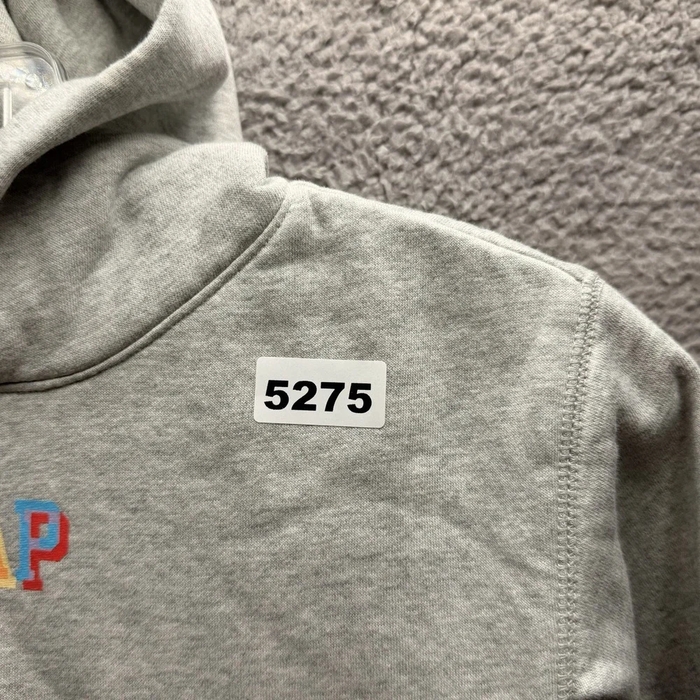 GAP hoodie toddler